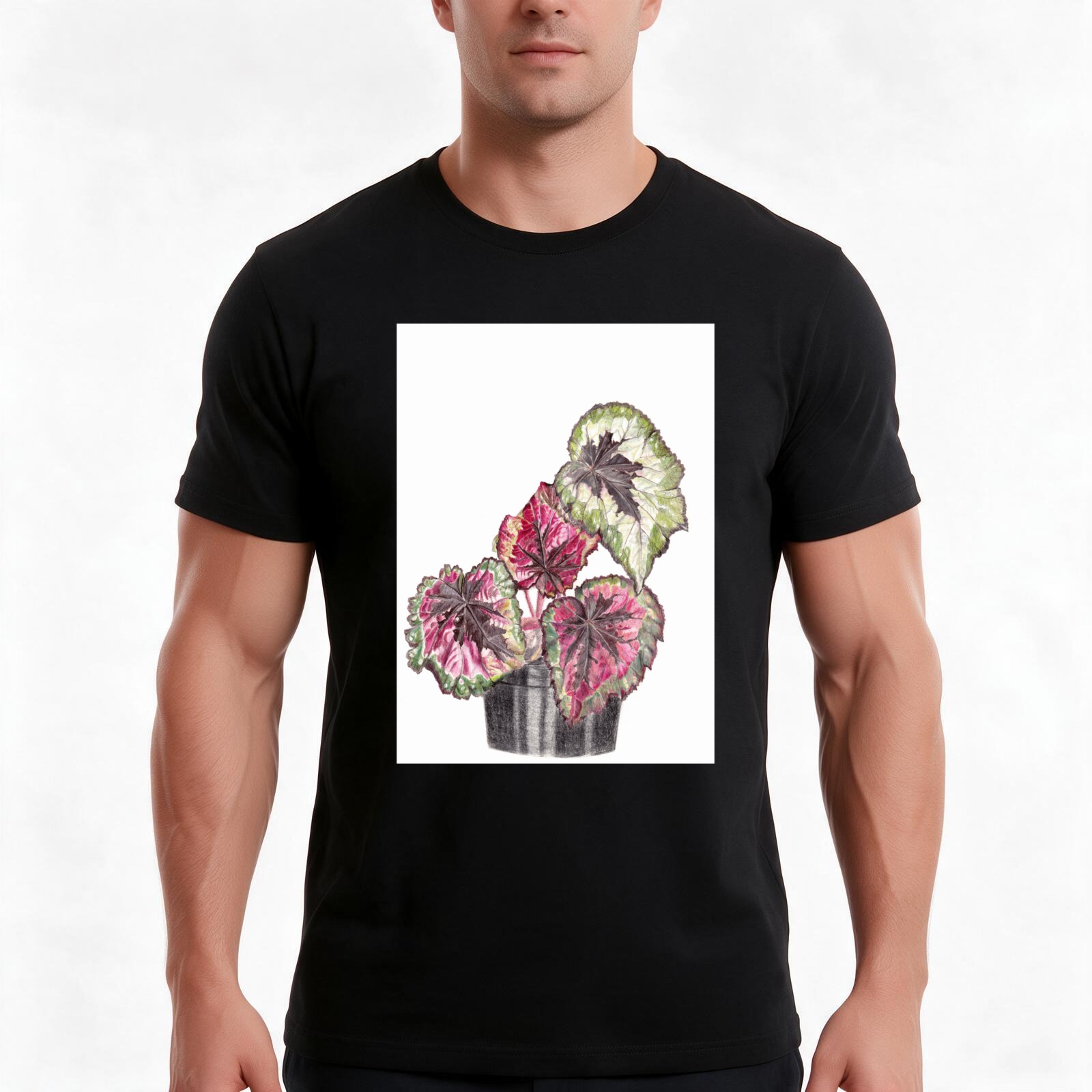 Begonia Rex T-Shirt, Summer Ca - Begonia Rex ulasan dan harga