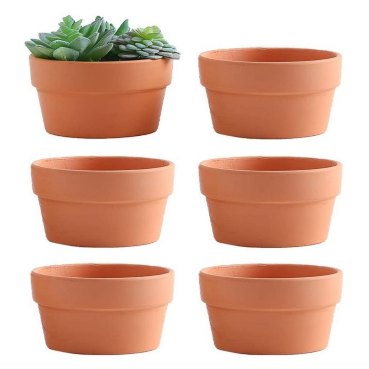 6 PCS Terracotta Buld Pots 3.5 - Aloe Vera Pot ulasan dan harga