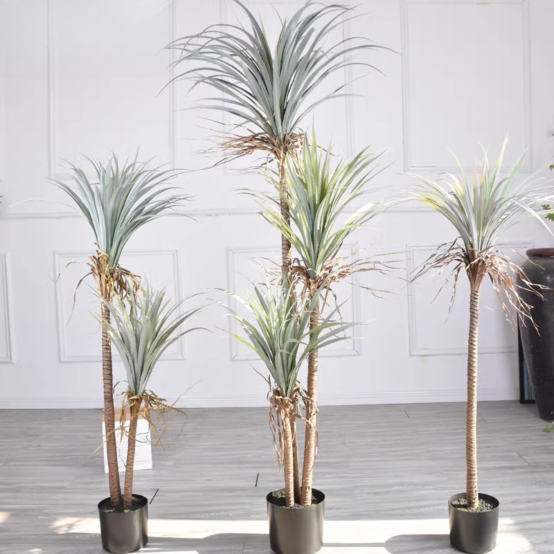 Dragon Blood Yucca Artificial  - Dracaena Marginata ulasan dan harga