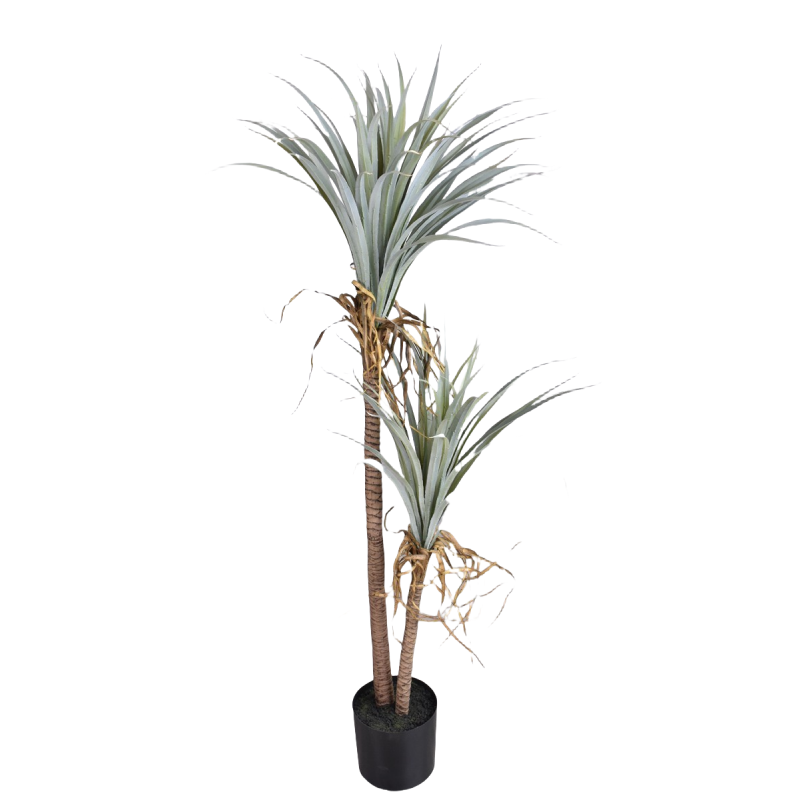 Dragon Blood Yucca Artificial  - Dracaena Marginata ulasan dan harga