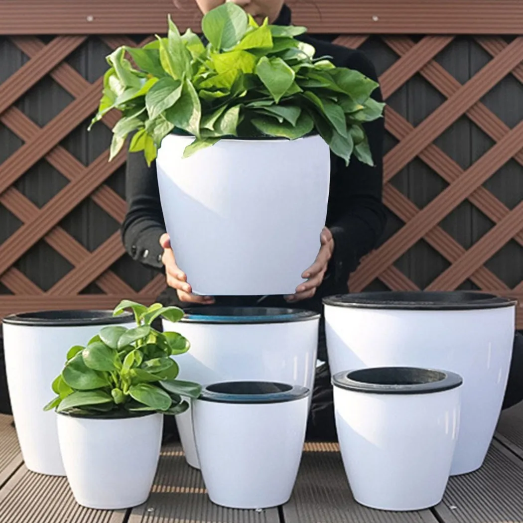 Lazy Flower Pot Self-Watering  - Aloe Vera Pot ulasan dan harga