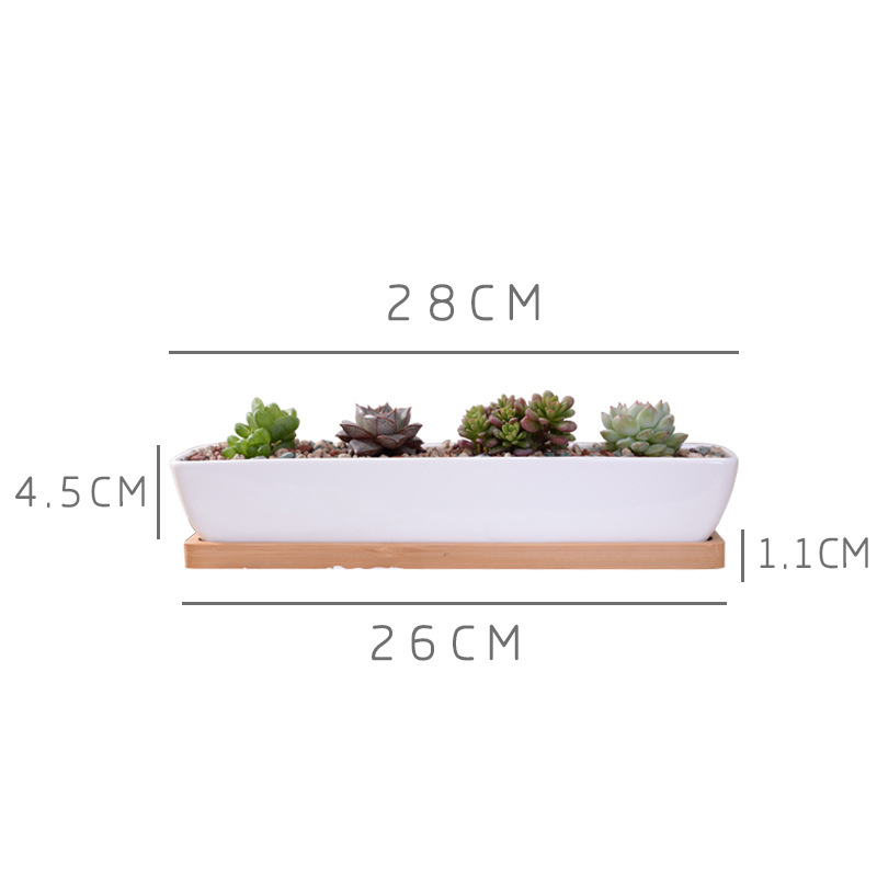 Long Rectangle White Ceramic S - Aloe Vera Pot ulasan dan harga