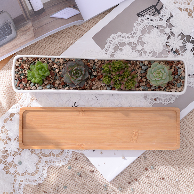 Long Rectangle White Ceramic S - Aloe Vera Pot ulasan dan harga
