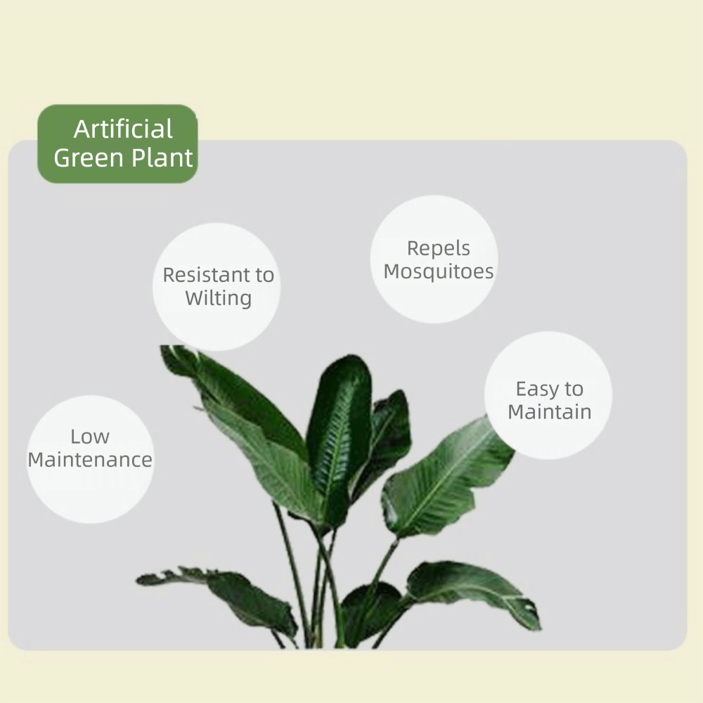 Green Plastic Artificial Ficus - Dracaena Marginata ulasan dan harga