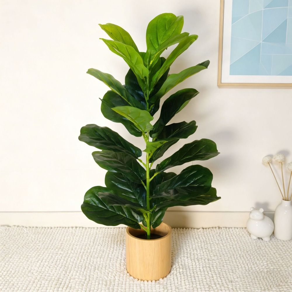 Green Plastic Artificial Ficus - Dracaena Marginata ulasan dan harga