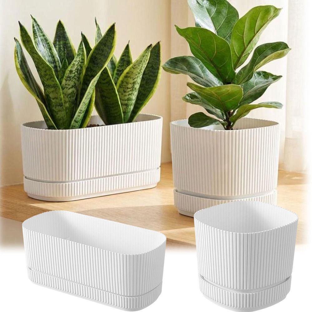 Plastic Self Watering Flower P - Aloe Vera Pot ulasan dan harga