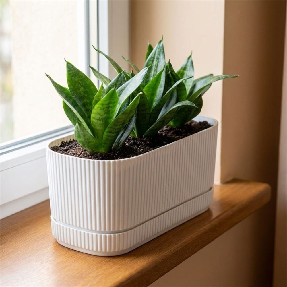 Plastic Self Watering Flower P - Aloe Vera Pot ulasan dan harga