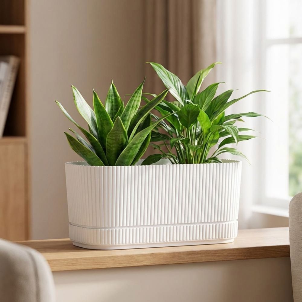 Plastic Self Watering Flower P - Aloe Vera Pot ulasan dan harga