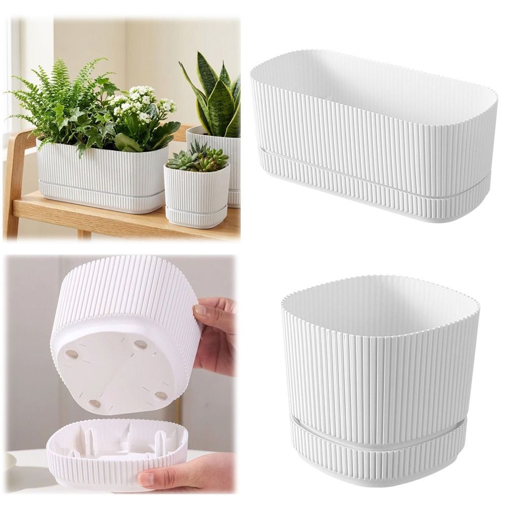 Plastic Self Watering Flower P - Aloe Vera Pot ulasan dan harga
