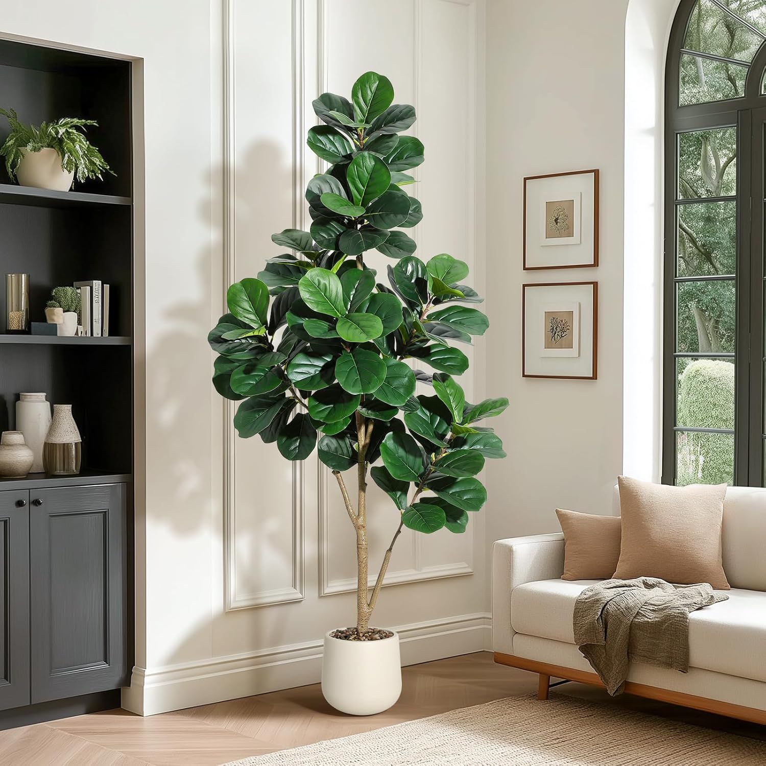 4-7 FT Fiddle Leaf Fig Tree Ar - Dracaena Marginata ulasan dan harga