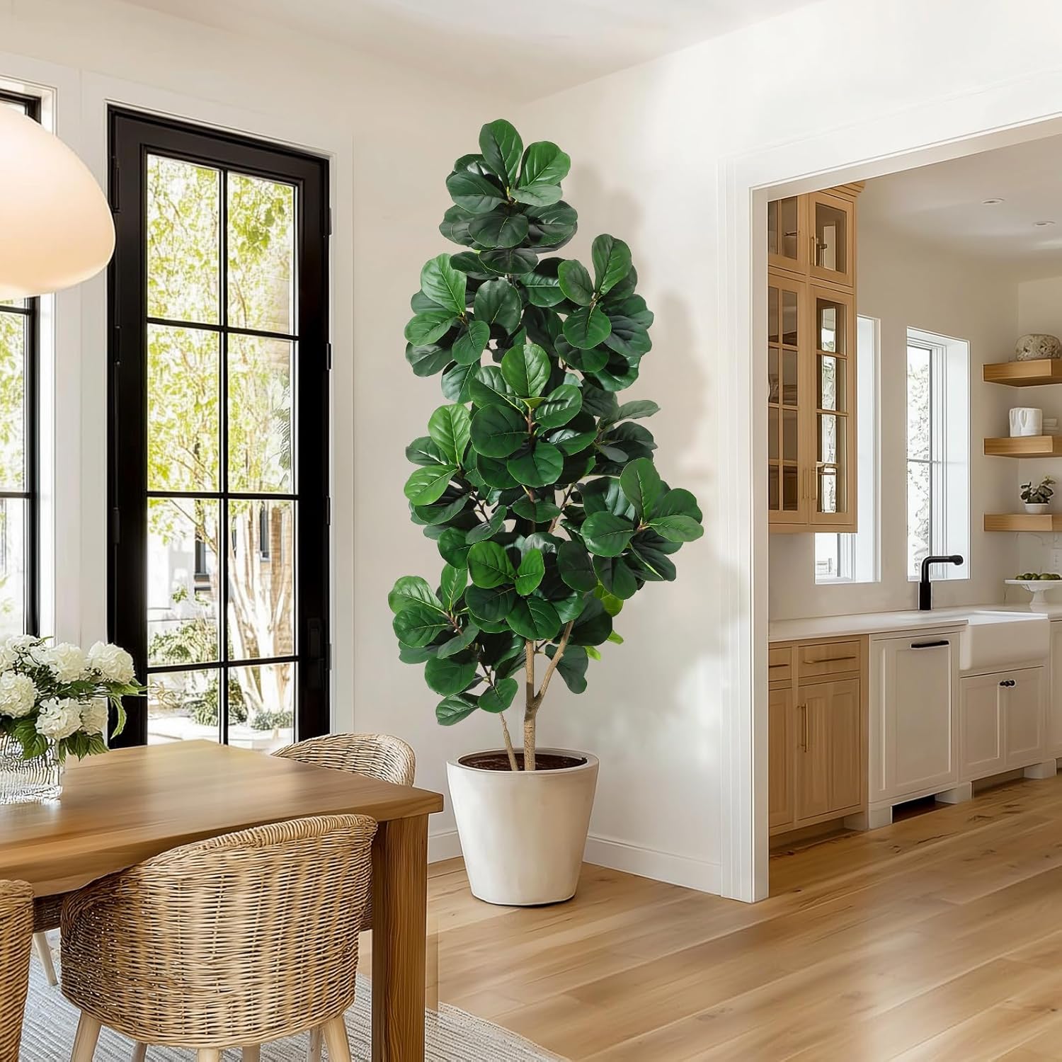 4-7 FT Fiddle Leaf Fig Tree Ar - Dracaena Marginata ulasan dan harga