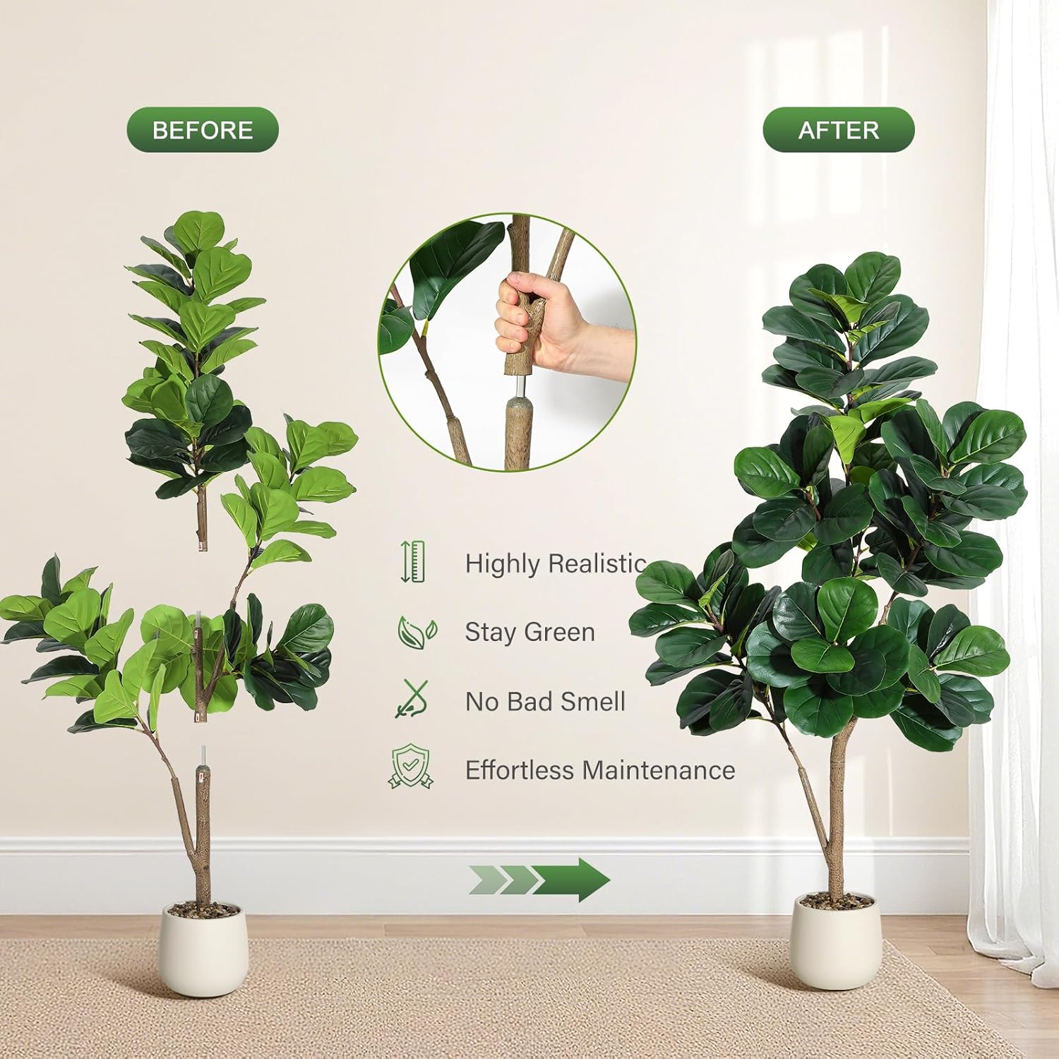 4-7 FT Fiddle Leaf Fig Tree Ar - Dracaena Marginata ulasan dan harga