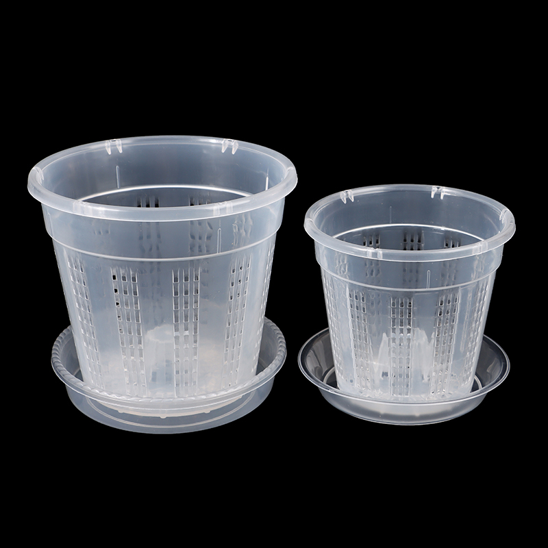 Household Garden Planter Hollo - Aloe Vera Pot ulasan dan harga
