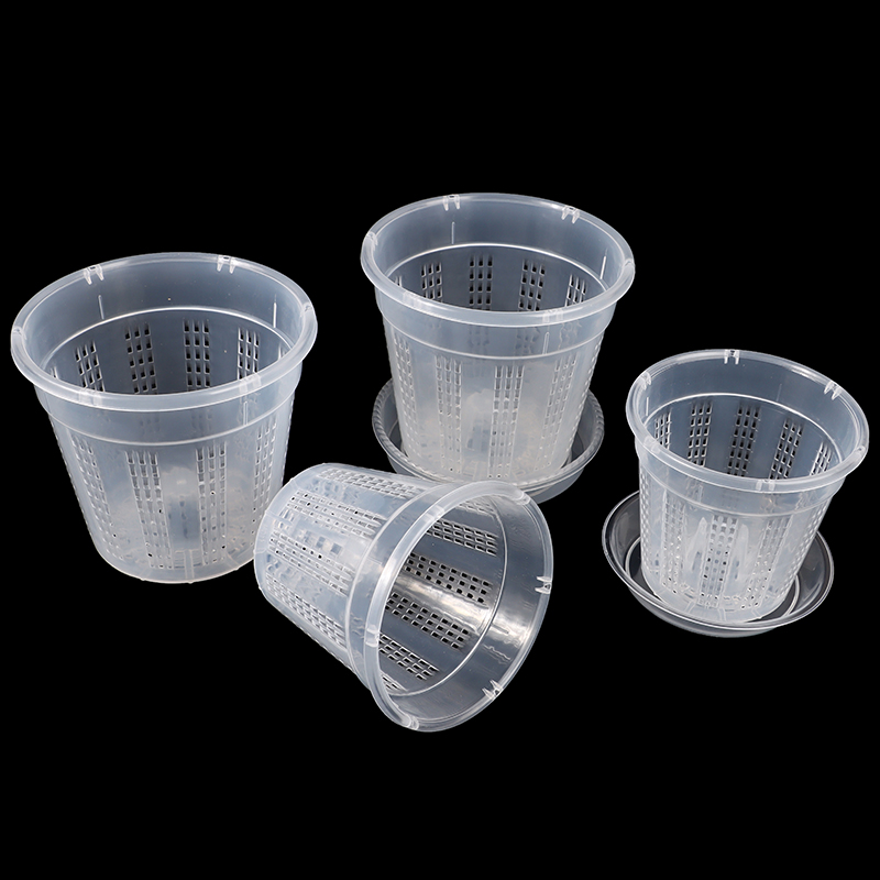 Household Garden Planter Hollo - Aloe Vera Pot ulasan dan harga