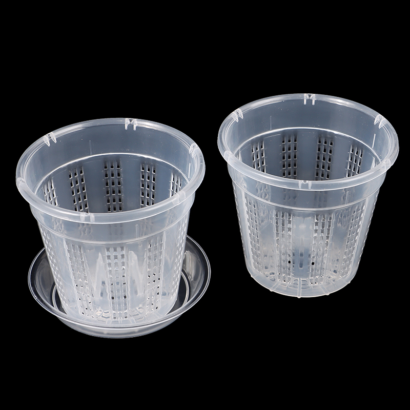 Household Garden Planter Hollo - Aloe Vera Pot ulasan dan harga