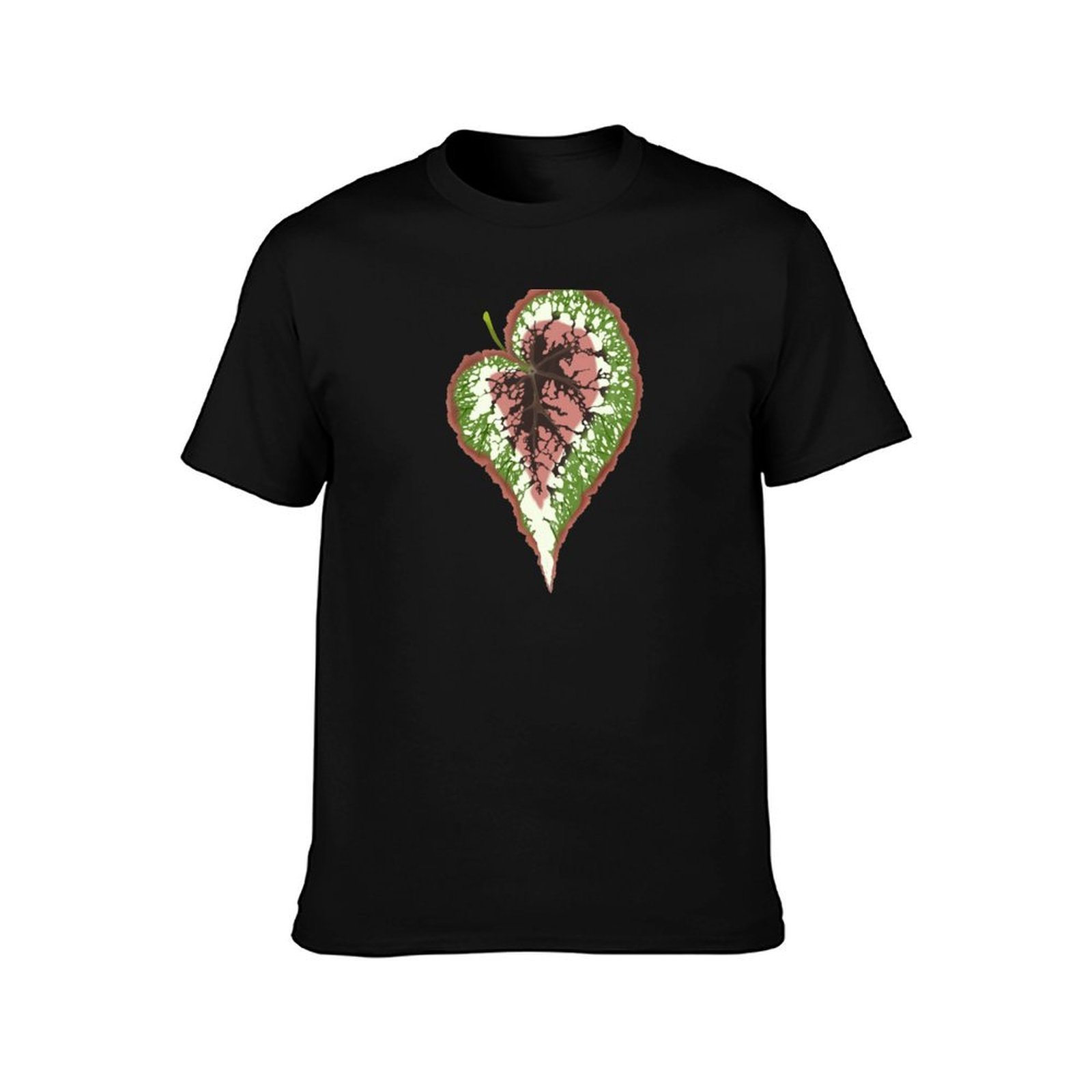 Begonia Rex T-Shirt, Summer Ca - Begonia Rex ulasan dan harga