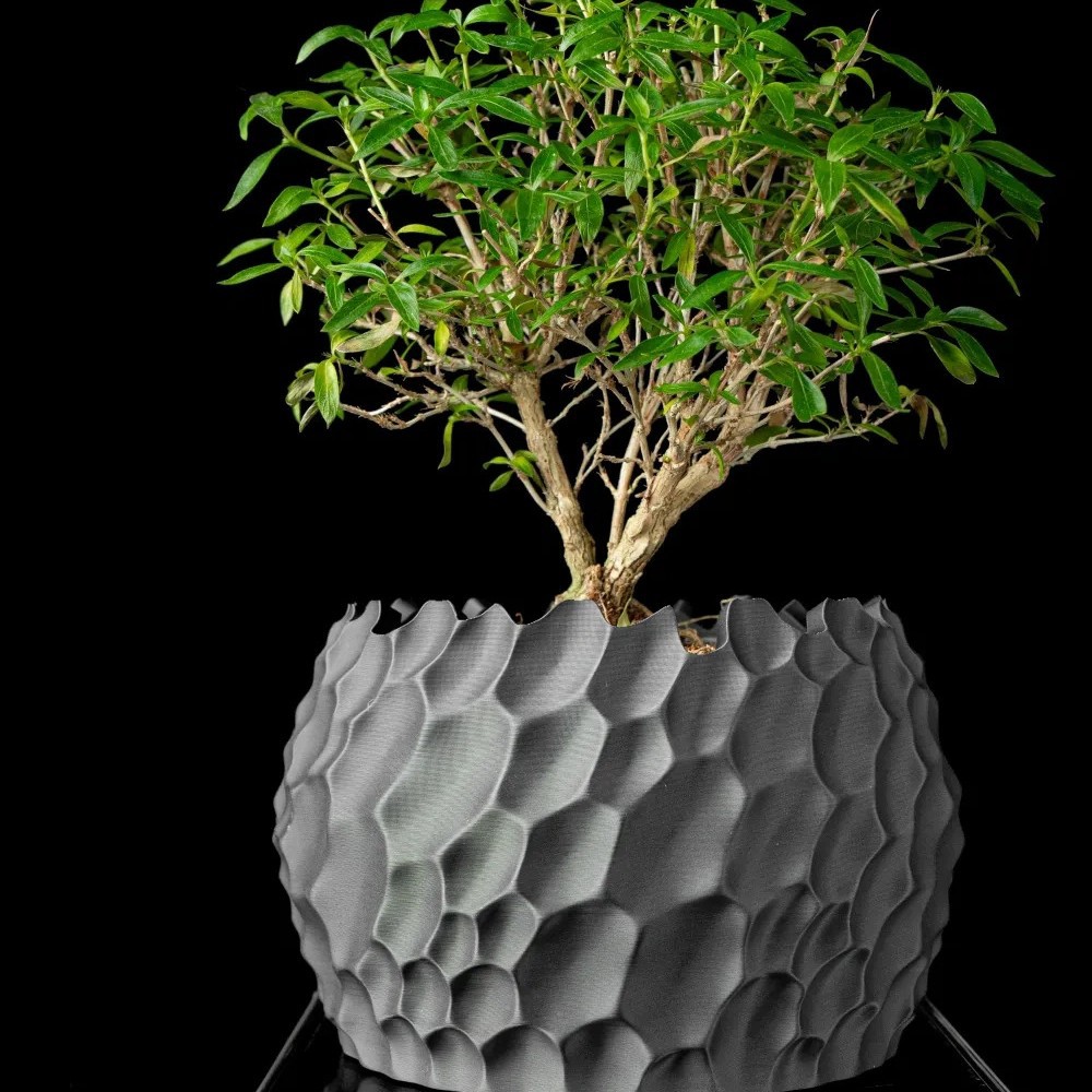 Textured Flower Pot Irregular  - Aloe Vera Pot ulasan dan harga