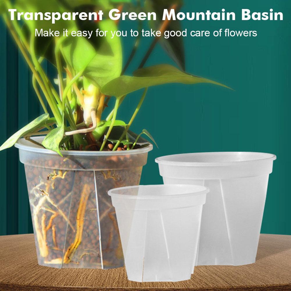 Transparent Plastic Pots Root  - Aloe Vera Pot ulasan dan harga