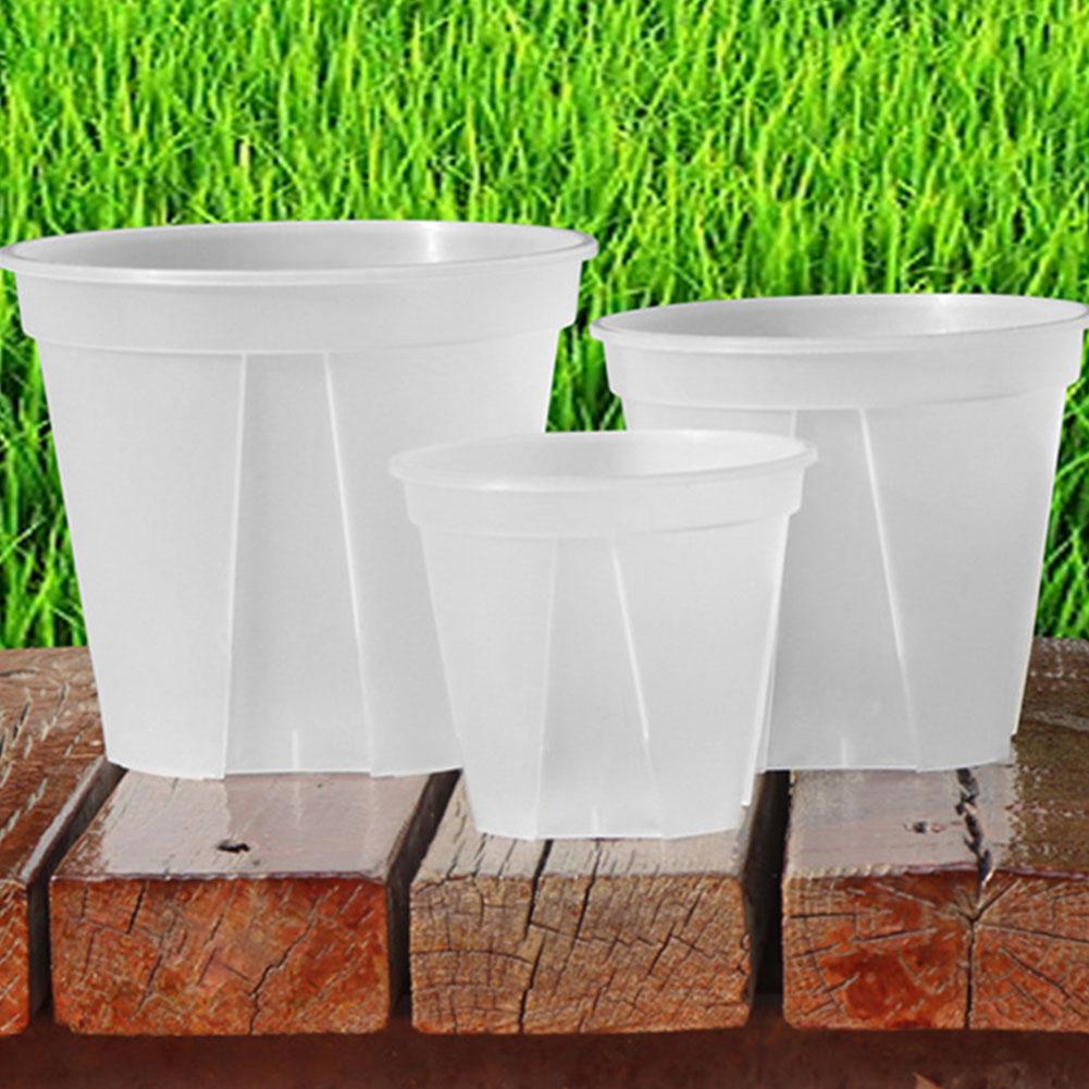 Transparent Plastic Pots Root  - Aloe Vera Pot ulasan dan harga