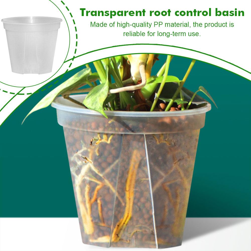 Transparent Plastic Pots Root  - Aloe Vera Pot ulasan dan harga