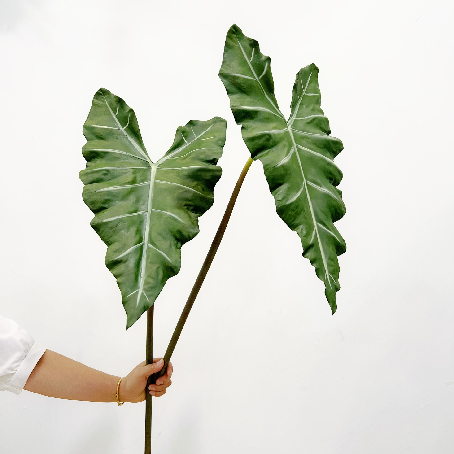 Simulated Long PU Hand-feel Gr - Dracaena Marginata ulasan dan harga
