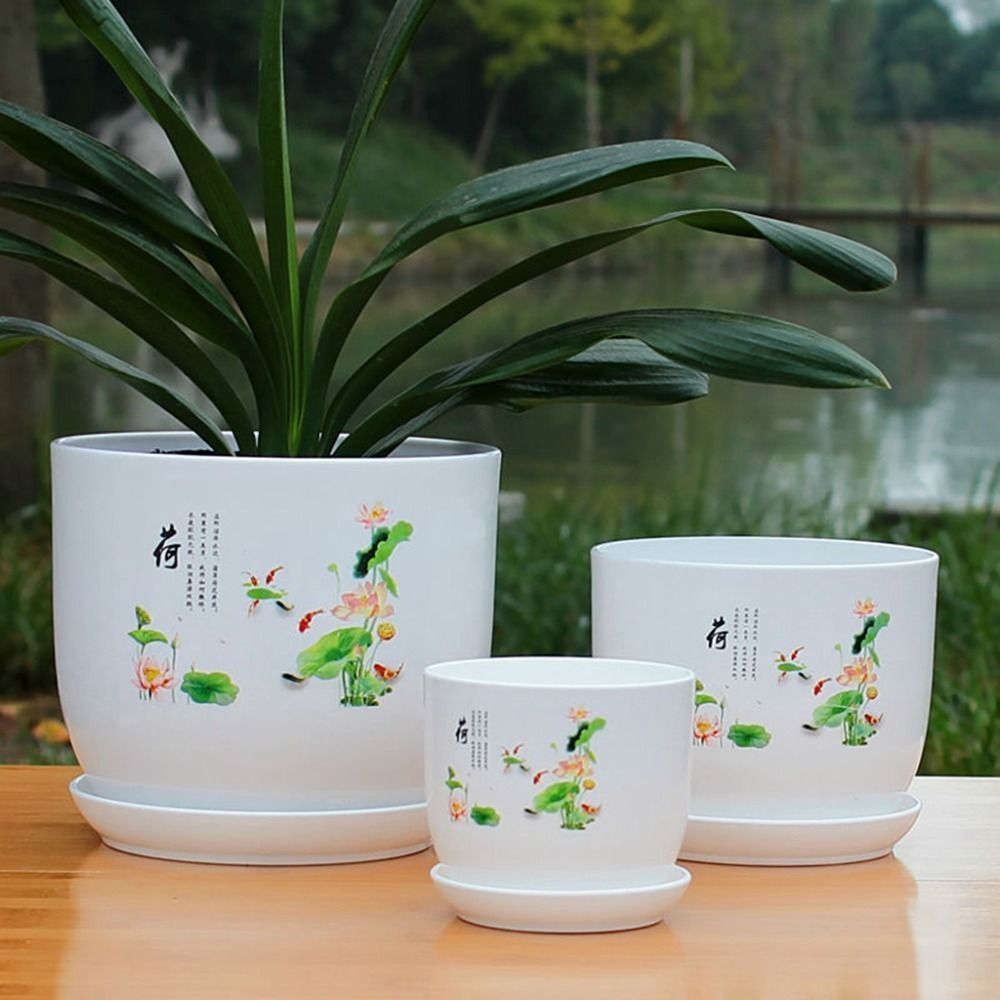 Extra Large Plastic Flower Pot - Aloe Vera Pot ulasan dan harga