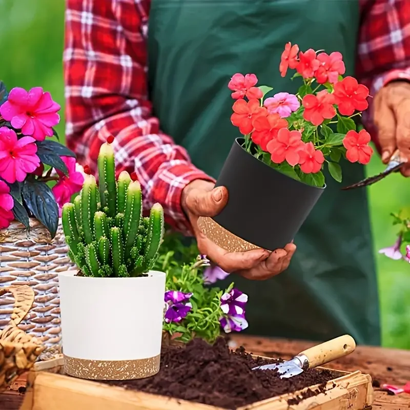 Plant Pot, 2 Pack Planters for - Aloe Vera Pot ulasan dan harga