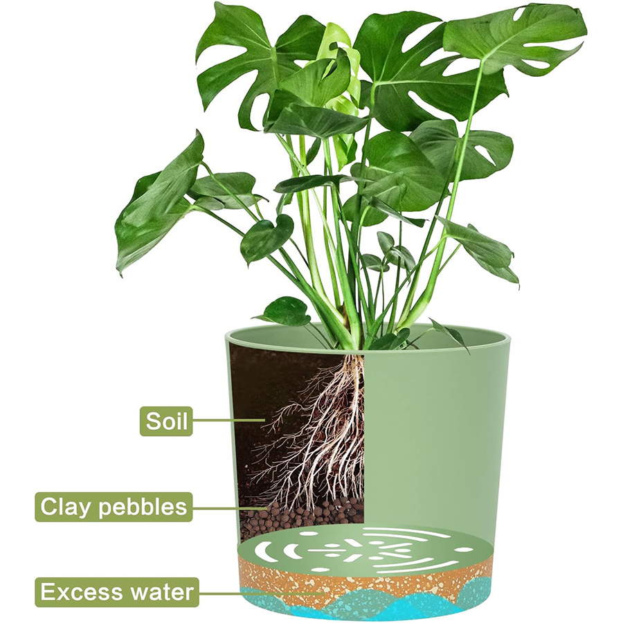 Plant Pot, 2 Pack Planters for - Aloe Vera Pot ulasan dan harga