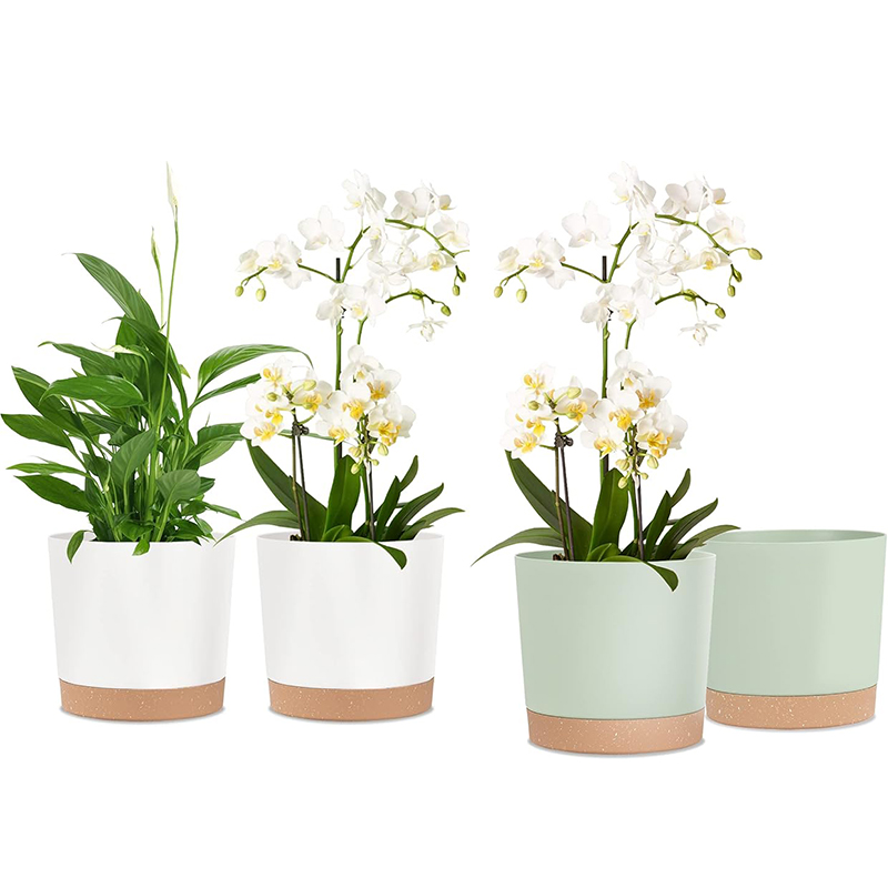 Plant Pot, 2 Pack Planters for - Aloe Vera Pot ulasan dan harga